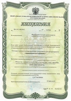Лицензия на осуществление фармацевтической деятельности (лист 1) ООО "Мегафарм" Лицензия на осуществление фармацевтической деятельности (лист 1)