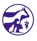 С Днем Ветеринарного Работника! – новости Мегафарм